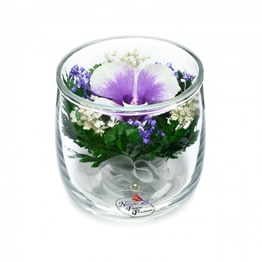 "NaturalFlowers" Арт: SSO - орхидея в вакууме цветы в стекле